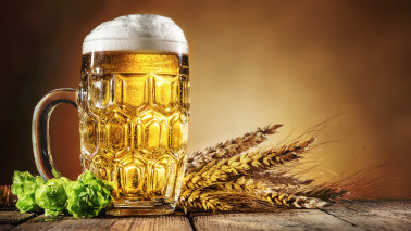 Ein gefülltes Bierglas steht auf einem Holztisch, daneben liegen Hopfendolden und Gersten- und Weizenähren.