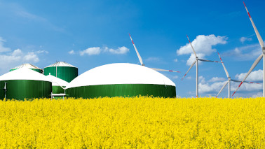 Rapsfeld mit Biogasanlage und Windraedern