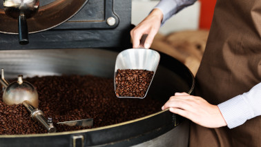 Geöffnete Kaffeeröstmaschine aus der mit einer Kaffeeschaufel Kaffeebohnen herausgehoben werden.